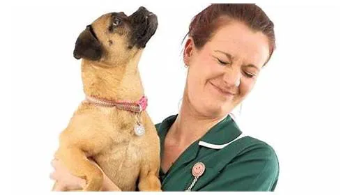 Willows Veterinary Centre, South Shields Surgery Picture 7
