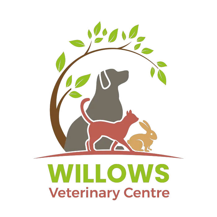 Willows Veterinary Centre, South Shields Surgery Picture 10