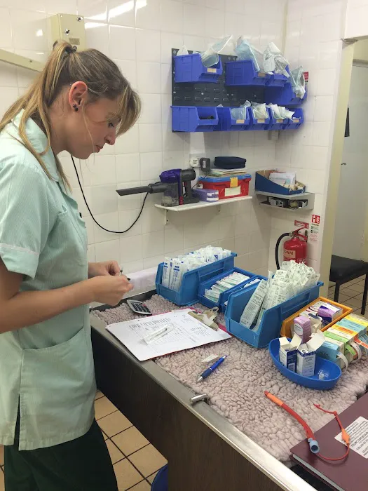 Ayres Veterinary Hospital - North Shields Picture 10