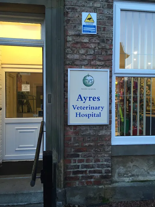 Ayres Veterinary Hospital - North Shields Picture 8