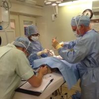 Ayres Veterinary Hospital - North Shields ico