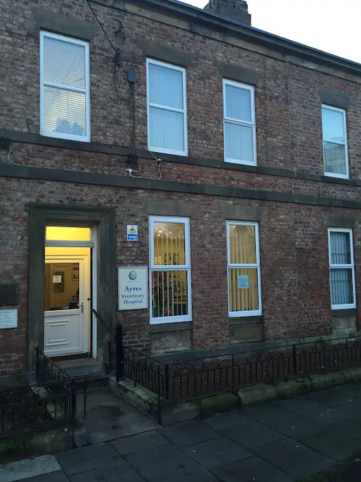 Ayres Veterinary Hospital - North Shields Picture 3