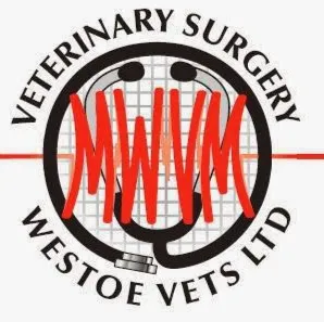 Westoe Vets Ltd Picture 2