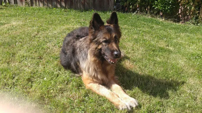 Vets4Pets South Shields Quays Picture 6