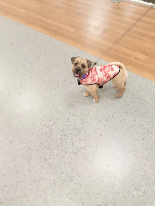 Vets4Pets South Shields Quays Picture 5