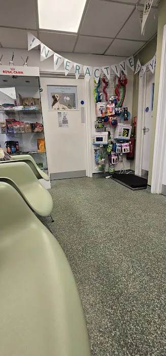 King's Road Veterinary Practice Ltd Picture 1