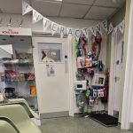 King's Road Veterinary Practice Ltd