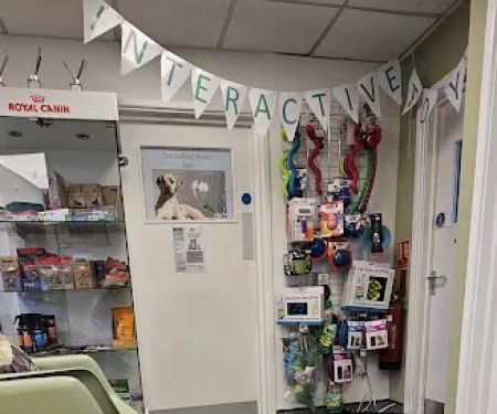 King's Road Veterinary Practice Ltd