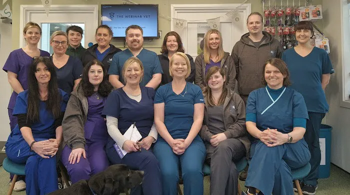 King's Road Veterinary Practice Ltd Picture 2