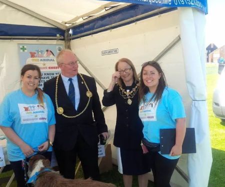 Animal Medicine Chest Ltd