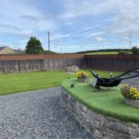 Maidenlands Cattery ico