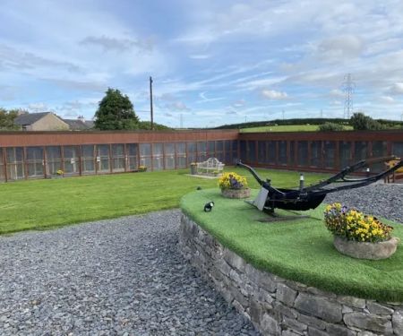 Maidenlands Cattery