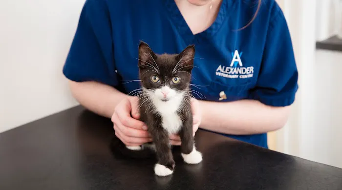 Alexander Vets Picture 3