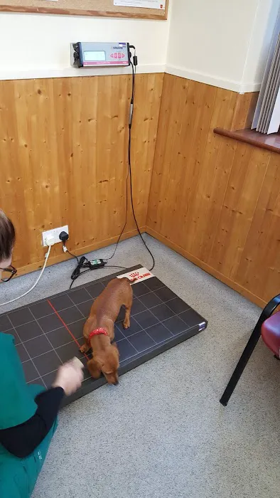 Church Walk Veterinary Centre - Barrow-in-Furness Picture 7