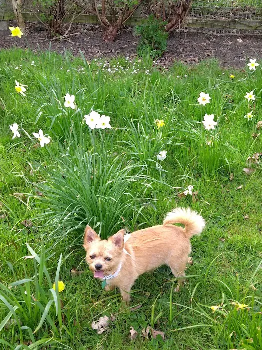 Grove Veterinary Centre Picture 6