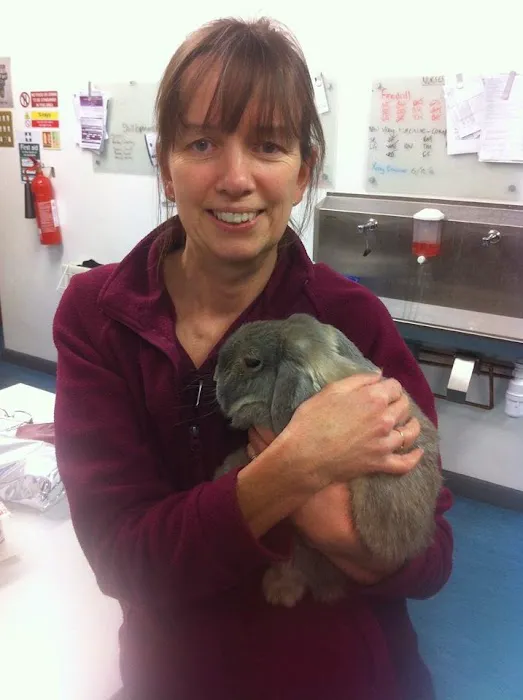 Alexander Vets Picture 8