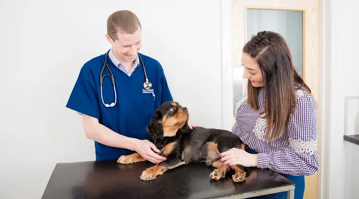 Alexander Vets Picture 4