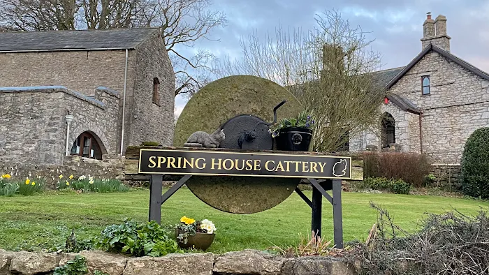 Spring House Cattery, Scales, Ulverston LA120PF ⭐⭐⭐⭐⭐ Picture 6