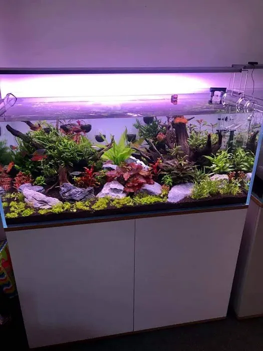 Aquariums4Life Picture 4