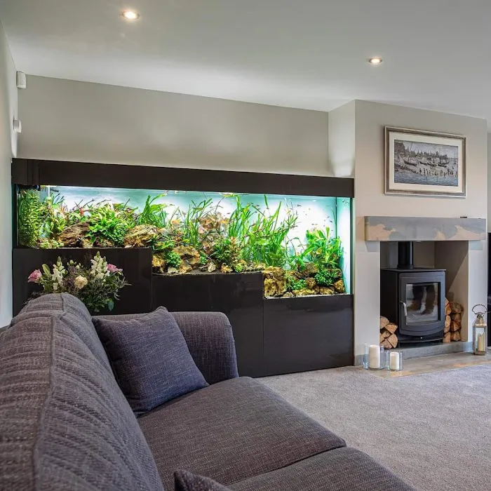 Aquariums4Life Picture 2