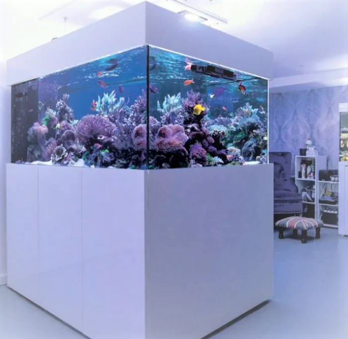 Aquariums4Life Picture 10