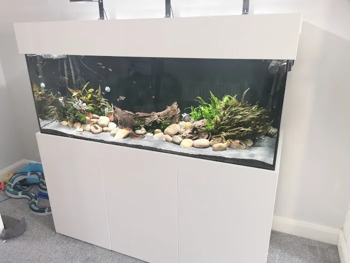 Aquariums4Life Picture 9