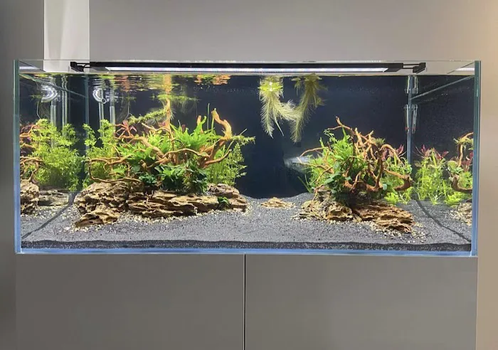 Aquariums4Life Picture 5