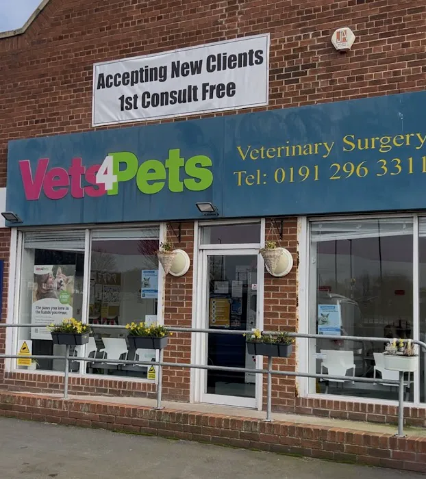 Vets4Pets - North Tyneside Picture 1