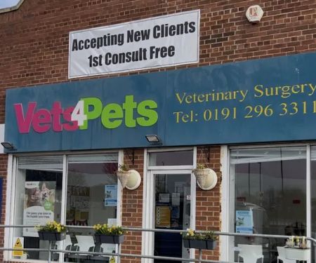 Vets4Pets - North Tyneside