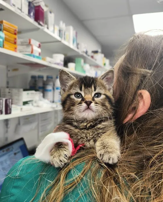 Vets4Pets - North Tyneside Picture 6