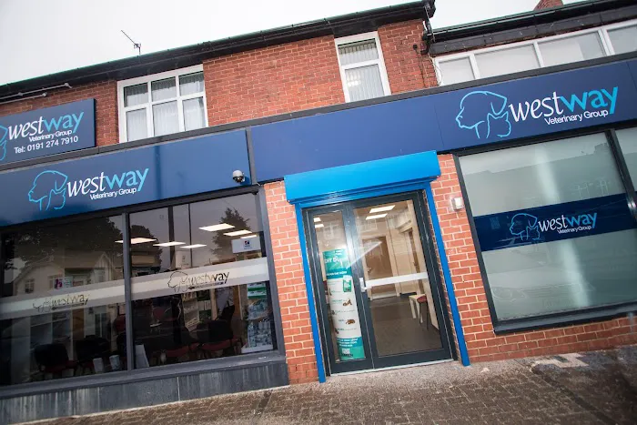 Westway Veterinary Group, Wideopen Picture 4