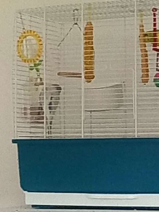 The Pet Shop Picture 1