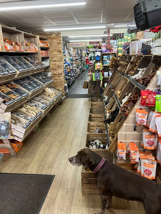 Woof 'n' Puss Picture 9