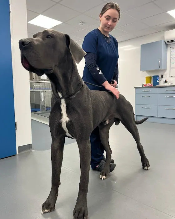 Archway Veterinary Practice Picture 7