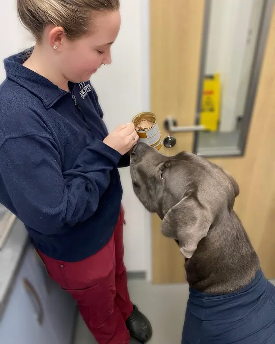 Archway Veterinary Practice Picture 8
