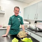 Archway Veterinary Practice