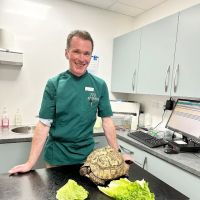 Archway Veterinary Practice ico