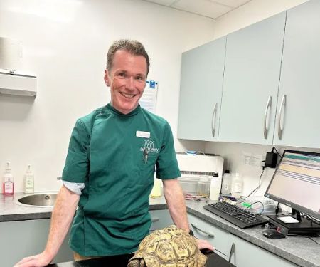 Archway Veterinary Practice