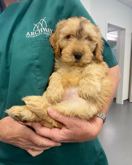 Archway Veterinary Practice Picture 2