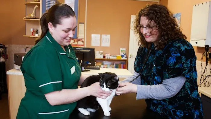 The Mount Veterinary Practice Picture 10