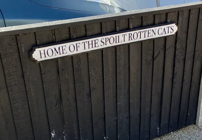 Bourne Cattery Picture 2