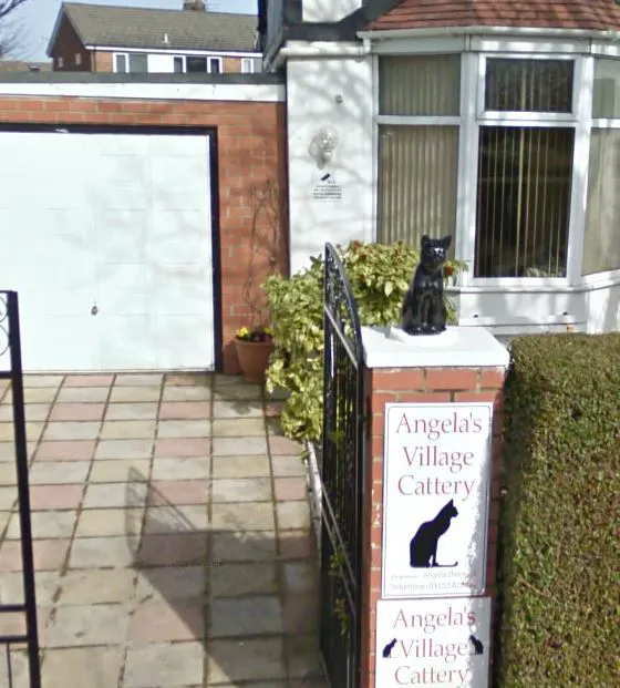 Angelas Village Cattery Picture 4