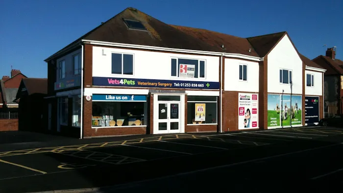 Vets4Pets - Cleveleys Picture 9