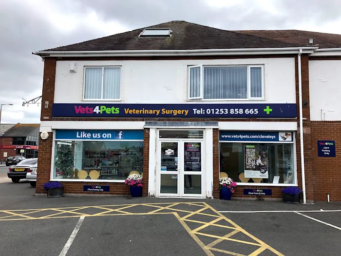 Vets4Pets - Cleveleys Picture 8