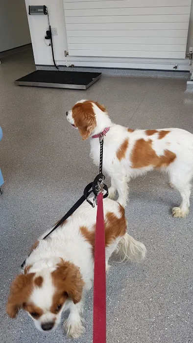 Moy Vets Picture 3