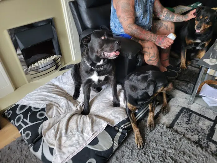 Moy Vets Picture 7