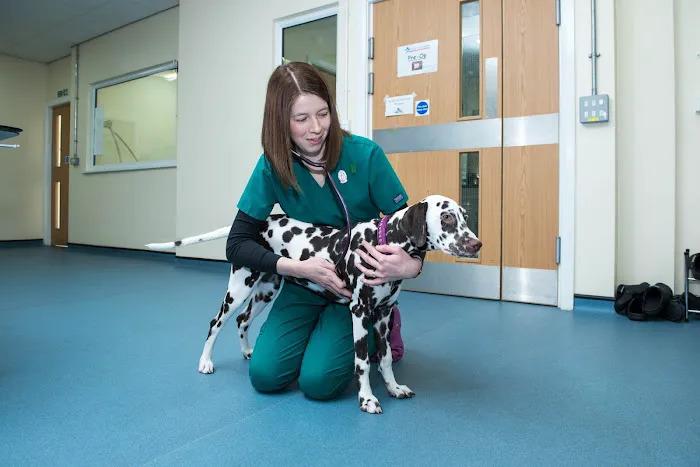 Moy Vets Picture 8