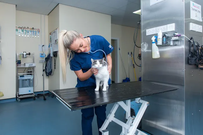 Moy Vets Picture 7