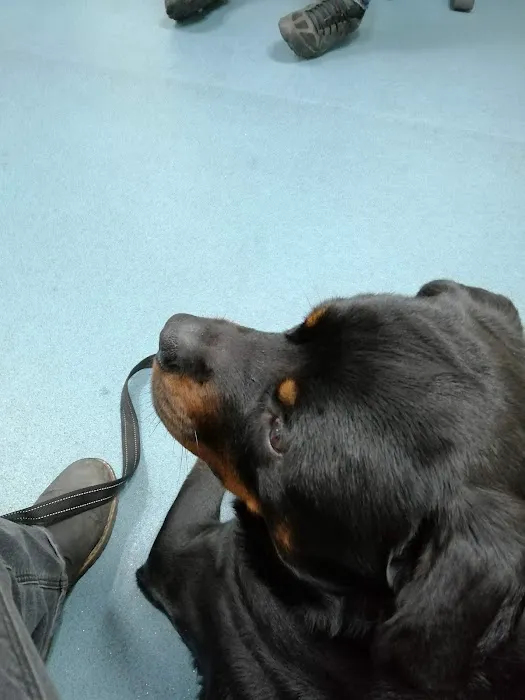 Moy Vets Picture 5