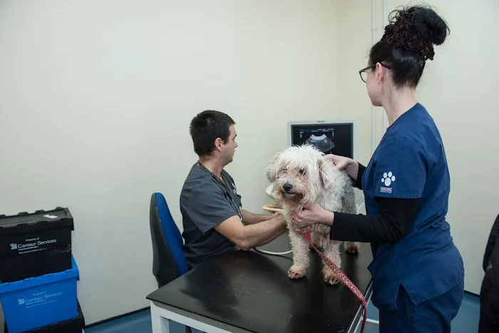 Moy Vets Picture 1